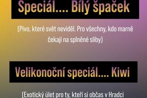 bily-pivo